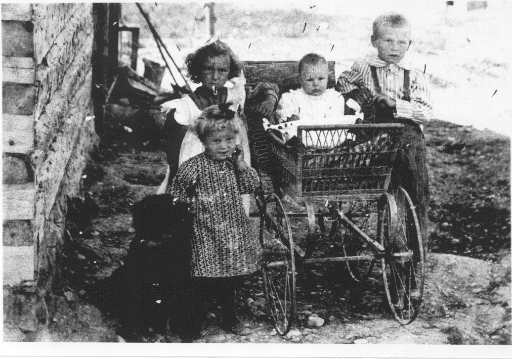 Beulah May Brown Stricklan, Albert Comstock Brown, DuShane Harwood Brown, Dorothy Lucetta Brown Rackham Larson at Axe Canyon, Dillion, Montana c.1909