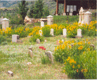 Snyder Cemetery facing southwest