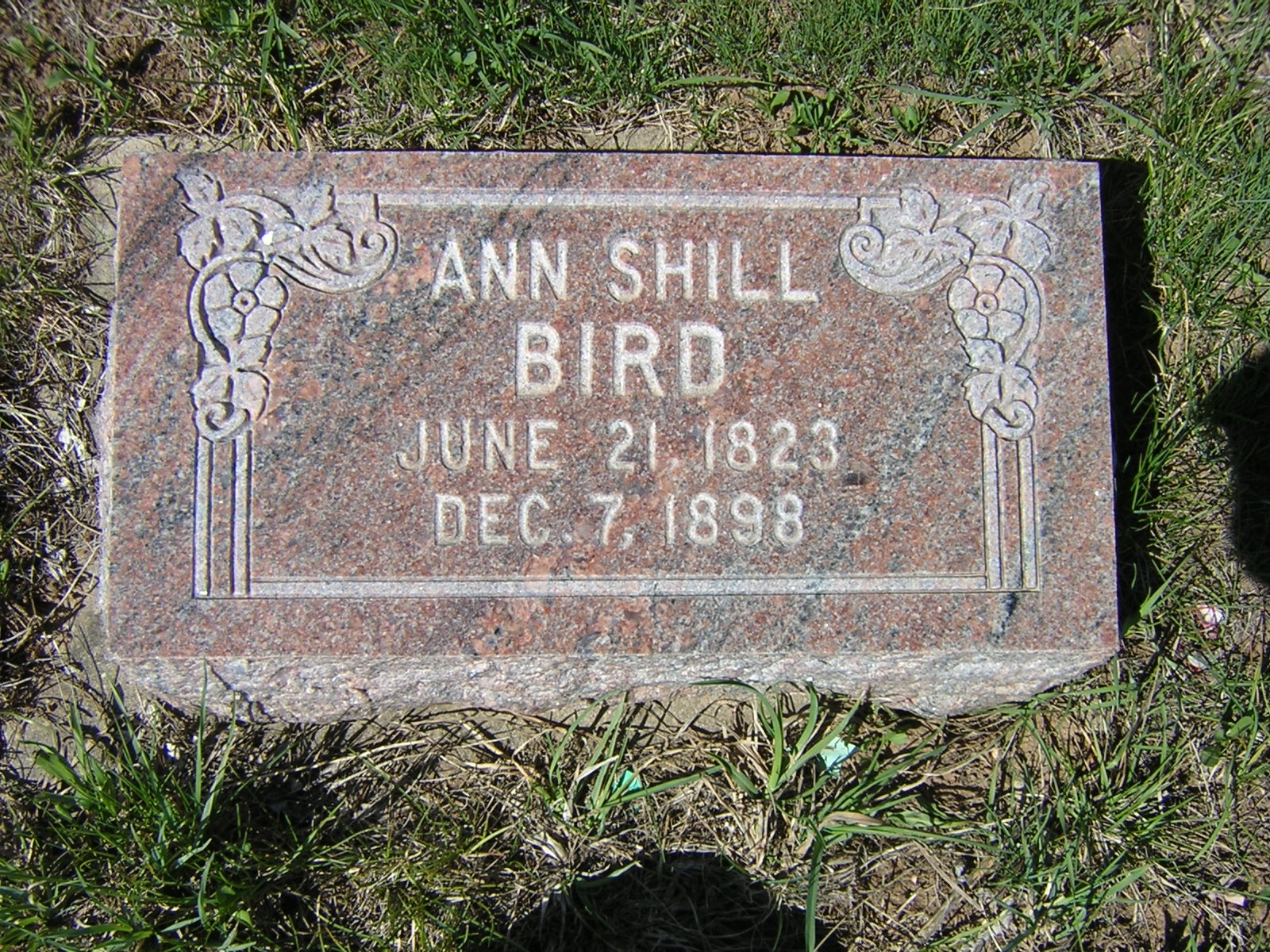 Ann Shill Bird 1823-1896 gravemarker