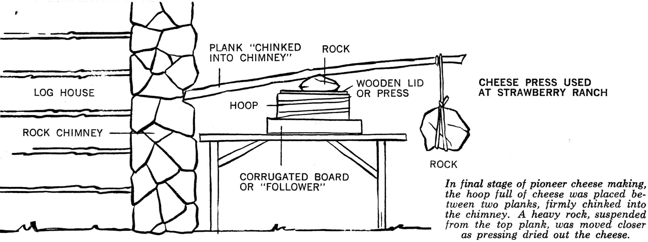 Pioneer cheesemaking