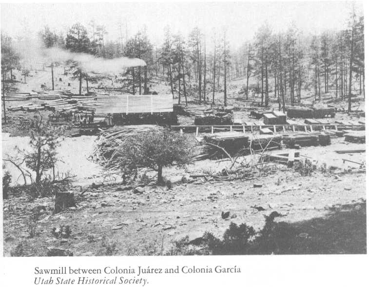 Sawmill between Colonia Garcia and Colonia Juarez